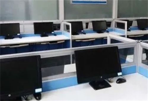 山東工業(yè)技師學(xué)院計算機(jī)網(wǎng)絡(luò)應(yīng)用專業(yè) 計算機(jī)技術(shù)開發(fā)的實踐與未來